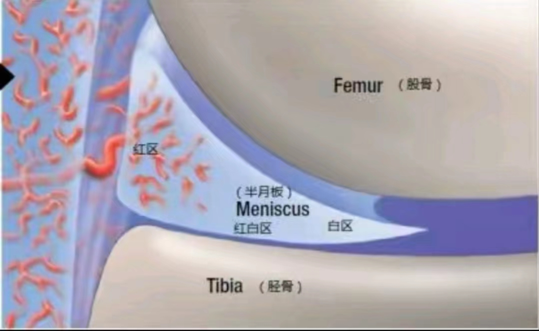 1716259306163892.png 图片 4.png