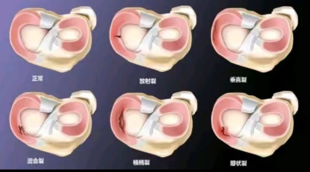 1716259323199788.png 图片 5.png